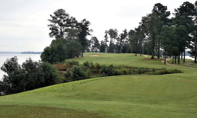 New Georgia Parks Travel Guide and Passes Available for 2021