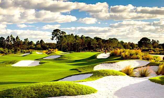 PGA Golf Club: Dye Course