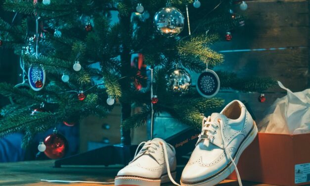 Royal Albatross 2020 Holiday Gift Guide