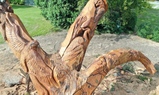 Santee Cooper Resort’s New Calling Card