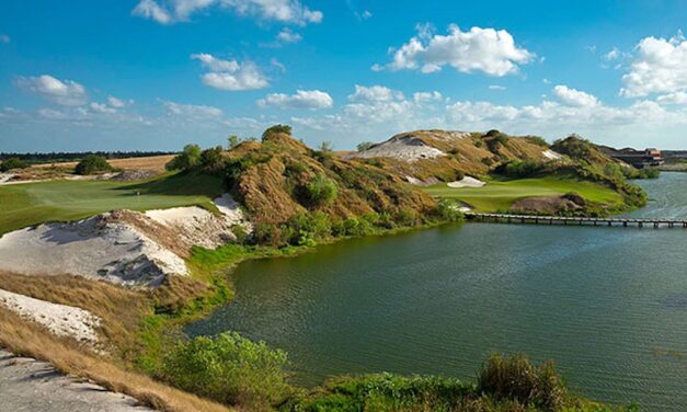 Streamsong Mach1 Grass