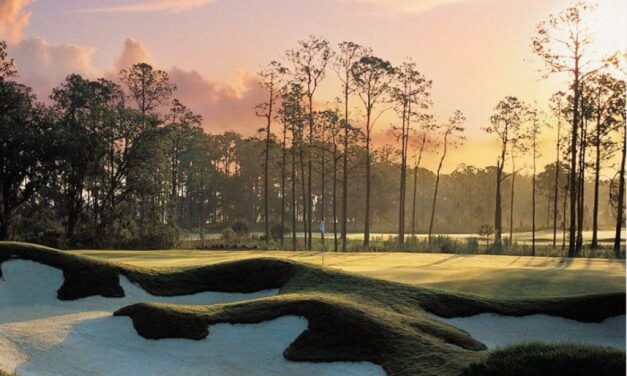 The Concession to Host Relocated WGC Event