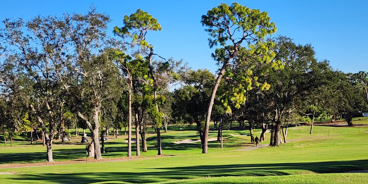 The Pro Cup – First Round is Complete at Innisbrook Resort